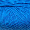 Cascade Yarns 220 Superwash | Yarn at Michigan Fine Yarns