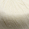 Cascade Yarns 220 Superwash | Yarn at Michigan Fine Yarns