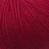 Cascade Yarns 220 Superwash | Yarn at Michigan Fine Yarns