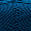 Cascade 220 Superwash Merino -886904046876 | Yarn at Michigan Fine Yarns