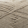 Cascade 220 Superwash Merino -886904048139 | Yarn at Michigan Fine Yarns