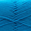 Cascade 220 Superwash Merino -886904048221 | Yarn at Michigan Fine Yarns