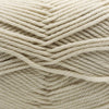 Cascade 220 Superwash Merino -886904054130 | Yarn at Michigan Fine Yarns