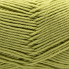 Cascade 220 Superwash Merino at Michigan Fine Yarns