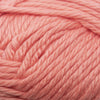 Cascade Cherub Bulky -886904011188 | Yarn at Michigan Fine Yarns