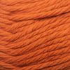 Cascade Cherub Bulky -886904011195 | Yarn at Michigan Fine Yarns