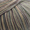 Cascade Forest Hills Multis -101 - Glade 886904036495 | Yarn at Michigan Fine Yarns