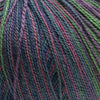 Cascade Forest Hills Multis -105 - Coneflower 886904036532 | Yarn at Michigan Fine Yarns