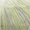 Cascade Forest Hills Multis -109 - Illusion 14522410 | Yarn at Michigan Fine Yarns
