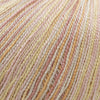 Cascade Forest Hills Multis -110 - Ballet 14555178 | Yarn at Michigan Fine Yarns