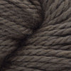 Cascade Yarns 220 Superwash Grande -862 - Walnut Heather | Yarn at Michigan Fine Yarns