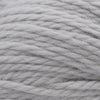 Cascade Yarns 220 Superwash Grande -875 - Feather Grey | Yarn at Michigan Fine Yarns