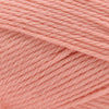 Cascade Yarns 220 Superwash Merino -101 - Desert Flower | Yarn at Michigan Fine Yarns