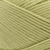 Cascade Yarns 220 Superwash Merino -57 - Sweet Pea | Yarn at Michigan Fine Yarns