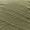 Cascade Yarns 220 Superwash Merino -58 - Iguana | Yarn at Michigan Fine Yarns