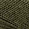 Cascade Yarns 220 Superwash Merino -59 - Chive 886904054017 | Yarn at Michigan Fine Yarns
