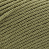 Cascade Yarns 220 Superwash Merino -93 - Dried Herb | Yarn at Michigan Fine Yarns