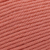 Cascade Yarns 220 Superwash Merino -98 - Camelia | Yarn at Michigan Fine Yarns