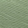 Cascade Yarns Pacific Sport -16 - Spring Green | Yarn at Michigan Fine Yarns