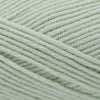 Cascade Yarns Sarasota -240 - Celadon | Yarn at Michigan Fine Yarns