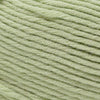 Cascade Yarns Sarasota Worsted -201 - Baby Lime 886904070666 | Yarn at Michigan Fine Yarns
