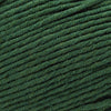Cascade Yarns Sarasota Worsted -205 - Dark Green 886904070680 | Yarn at Michigan Fine Yarns