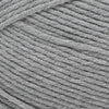 Cascade Yarns Sarasota Worsted -222 - Silver 886904070796 | Yarn at Michigan Fine Yarns