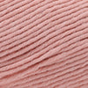 Cascade Yarns Sarasota Worsted -225 - Baby Peach 886904070826 | Yarn at Michigan Fine Yarns
