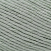 Cascade Yarns Sarasota Worsted -240 - Celadon 886904070949 | Yarn at Michigan Fine Yarns