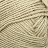 Ella Rae Cashmereno Sport -93268522 | Yarn at Michigan Fine Yarns