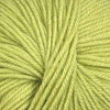 Ella Rae Cozy Soft -0843189072242 | Yarn at Michigan Fine Yarns