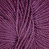 Ella Rae Cozy Soft -843189072099 | Yarn at Michigan Fine Yarns