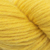 HiKoo Simplicity -004 - Goldfish 02619434 | Yarn at Michigan Fine Yarns