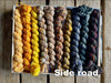 Koigu Koigu KPPPM Pencil Box Sets -Side Road | Yarn at Michigan Fine Yarns