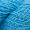 Koigu KPM (1000s) -1070 | Yarn at Michigan Fine Yarns