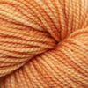 Koigu KPM (1000s) -1112 31524906 | Yarn at Michigan Fine Yarns