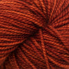 Koigu KPM (1000s) -1115 04294186 | Yarn at Michigan Fine Yarns