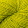 Koigu KPM (1000s) -1520 32475178 | Yarn at Michigan Fine Yarns