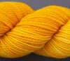 Koigu KPM (2000s) -2169 28346410 | Yarn at Michigan Fine Yarns