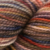 Koigu KPPPM (300s) -P309 22153258 | Yarn at Michigan Fine Yarns