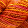Koigu KPPPM (600s) -P611 65883946 | Yarn at Michigan Fine Yarns