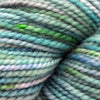 Koigu KPPPM (700s) -P743 12027946 | Yarn at Michigan Fine Yarns