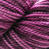 Koigu KPPPM (800s) -P860 15992874 | Yarn at Michigan Fine Yarns