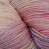 Malabrigo Arroyo at Michigan Fine Yarns
