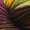 Malabrigo Arroyo at Michigan Fine Yarns