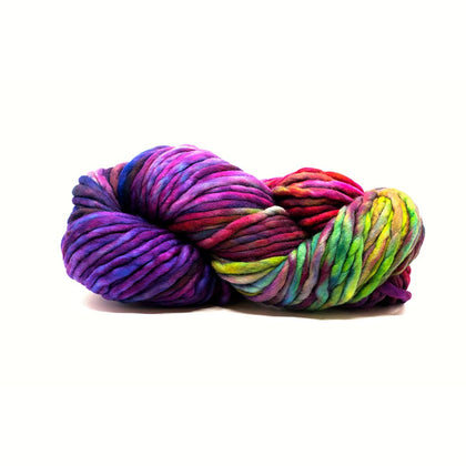 Malabrigo Rasta -5 - Aniversario 70387754 | Yarn at Michigan Fine Yarns