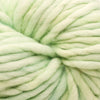 Malabrigo Rasta -708 - Cucumber 50870826 | Yarn at Michigan Fine Yarns