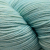 Malabrigo Sock -83 - Water Green 67176490 | Yarn at Michigan Fine Yarns