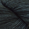 Malabrigo Worsted -145 - Forest 47512106 | Yarn at Michigan Fine Yarns