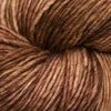 Malabrigo Worsted -18 - Applewood 39547178 | Yarn at Michigan Fine Yarns